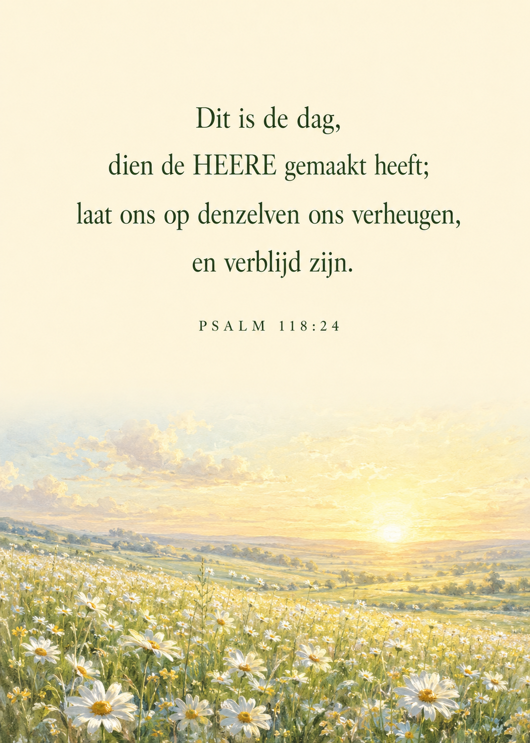 Zonsopgang boven een veld van madeliefjes
